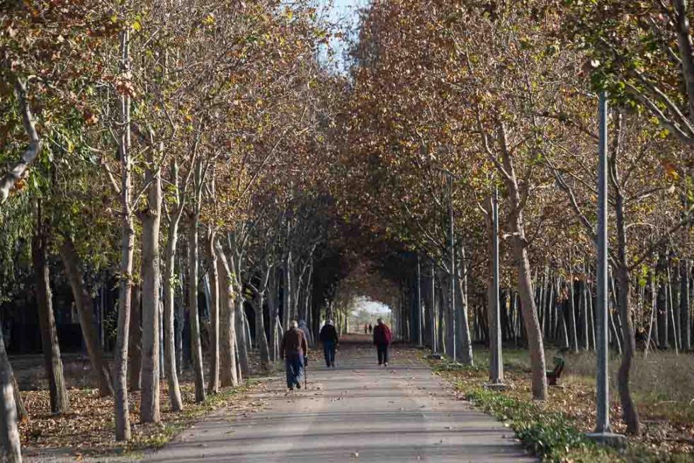 Fotos de Pina de Ebro