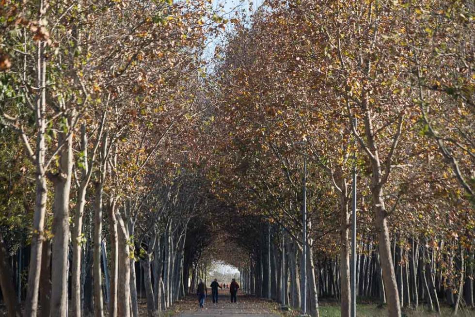 Fotos de Pina de Ebro