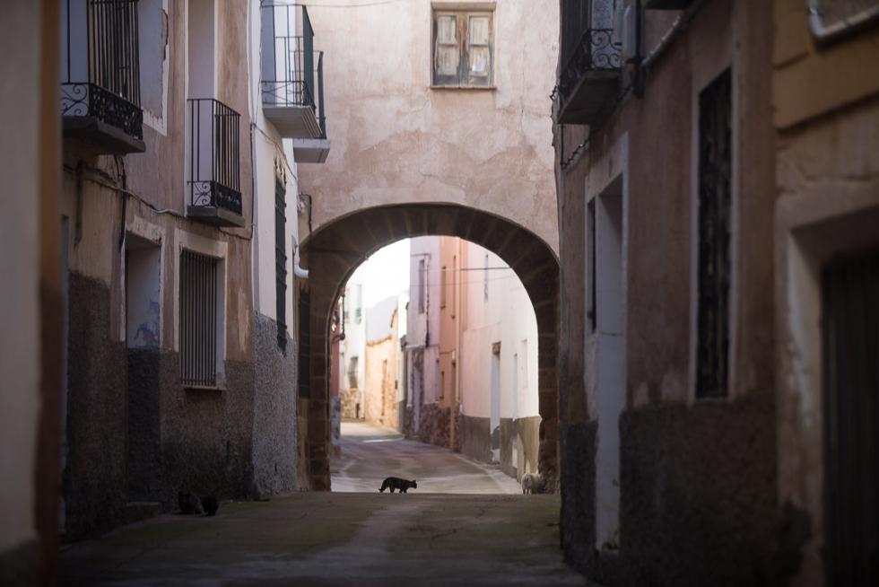Foto de Huesa del Común