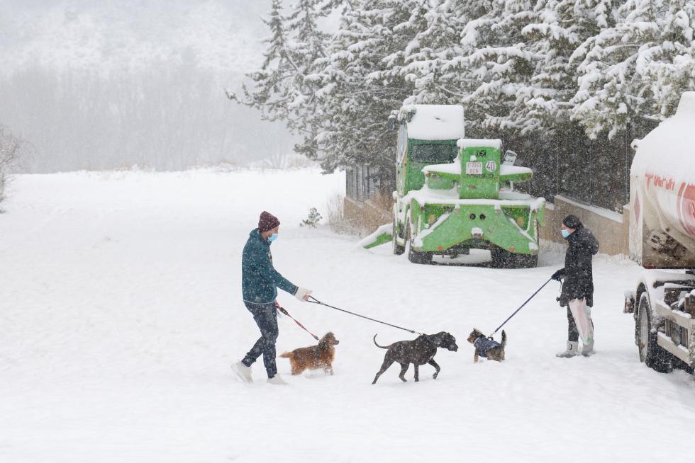 La nieve de Filomena tiñe de blanco la provincia de Teruel