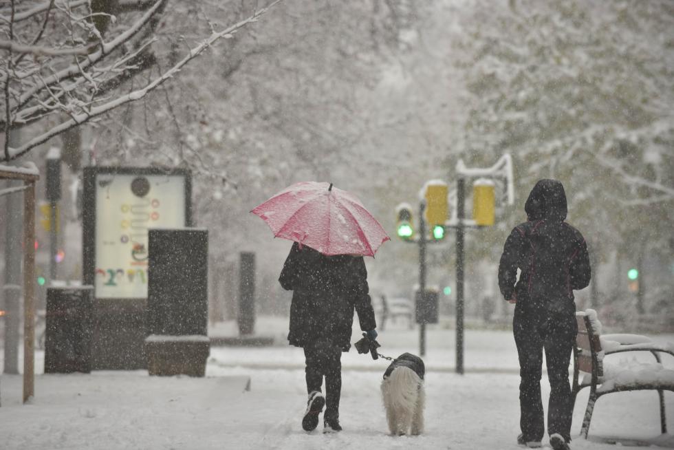 Filomena deja su rastro de nieve en Zaragoza