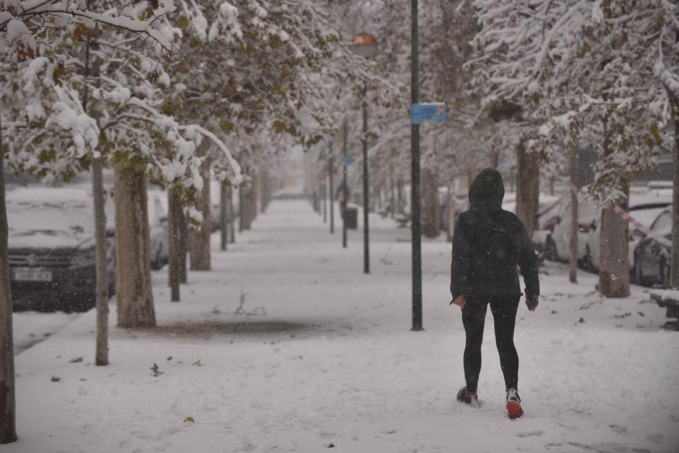 Filomena deja su rastro de nieve en Zaragoza
