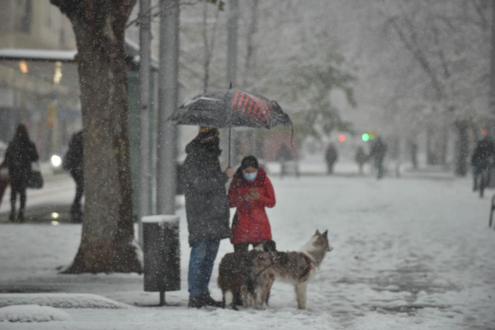 Filomena deja su rastro de nieve en Zaragoza