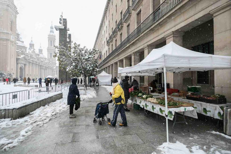 nevada en Zaragoza