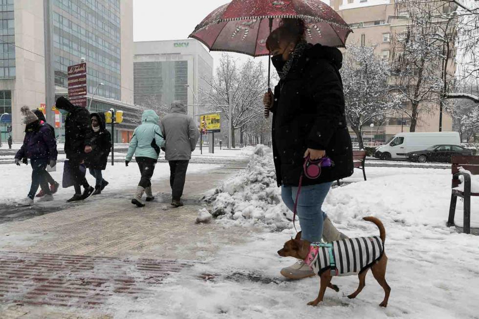 nevada en Zaragoza