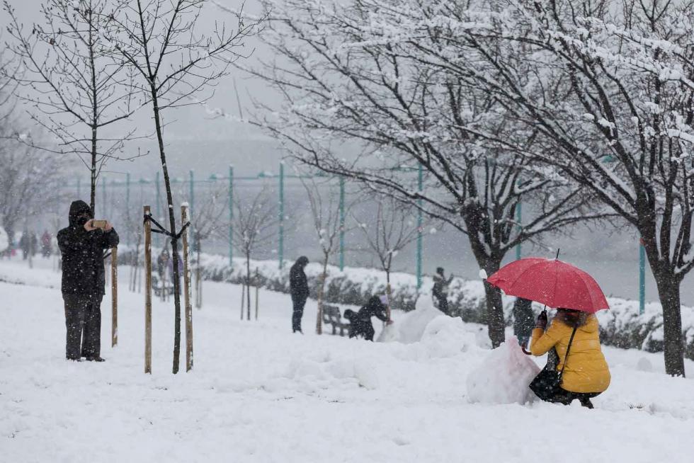 nevada en Zaragoza
