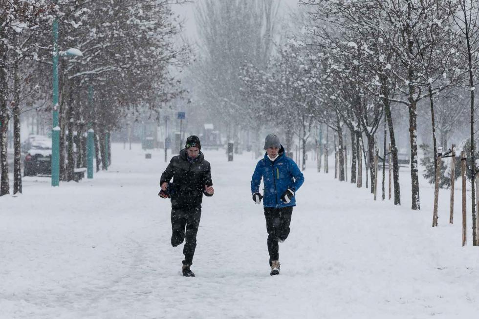 nevada en Zaragoza