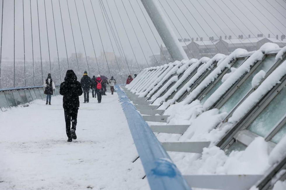 nevada en Zaragoza