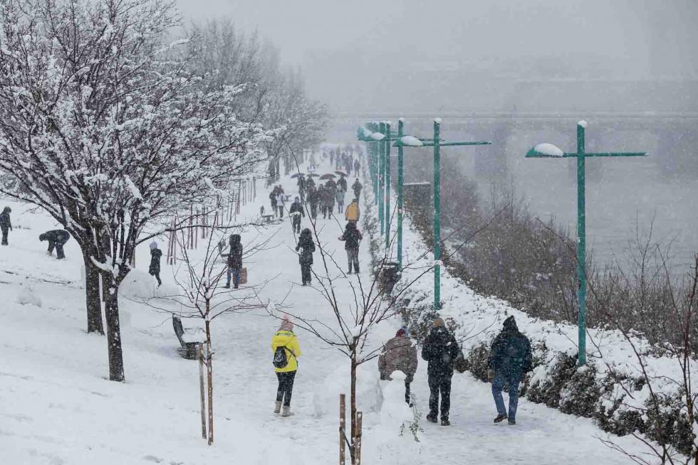 nevada en Zaragoza