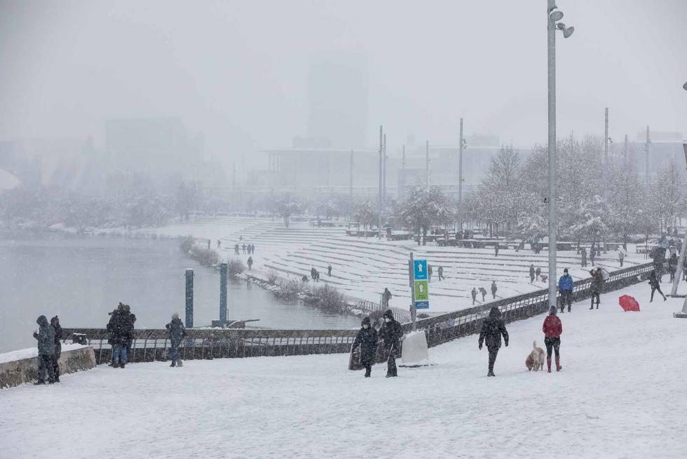 nevada en Zaragoza