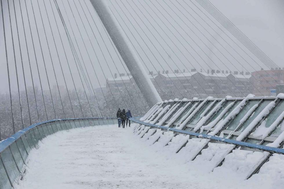 nevada en Zaragoza