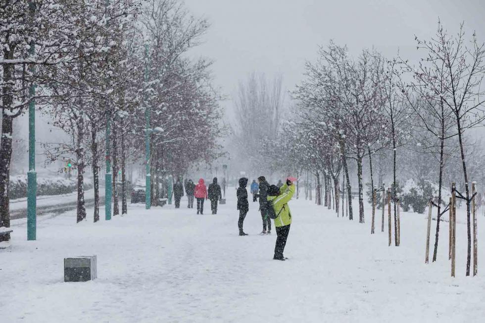 nevada en Zaragoza