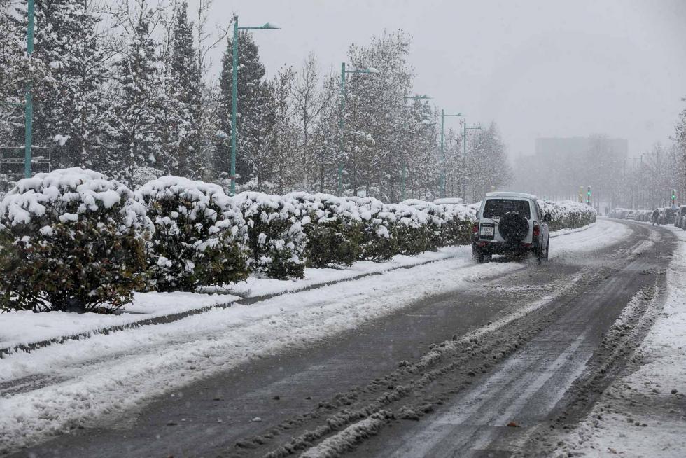 nevada en Zaragoza