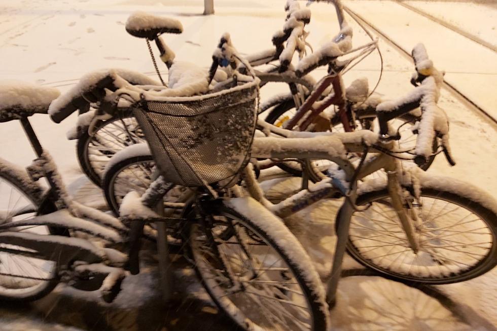 Nieve caída en la plaza de San Francisco de Zaragoza y su entorno