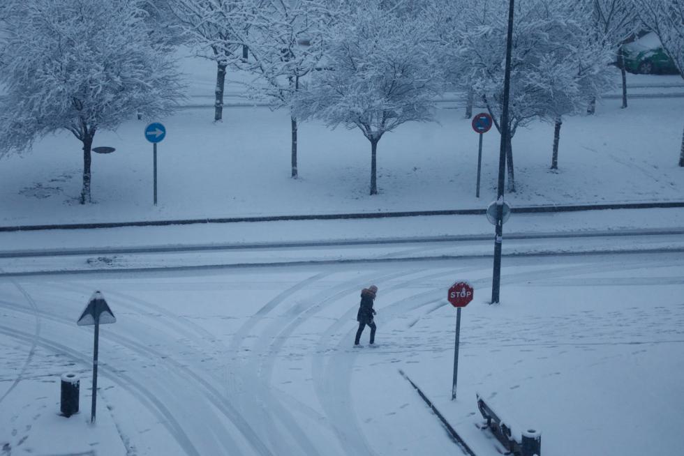 Nieve en Zaragoza por la borrasca Filomena