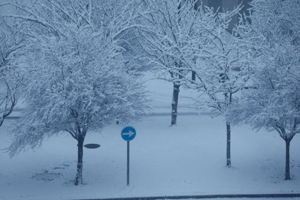 Nieve en Zaragoza por la borrasca Filomena