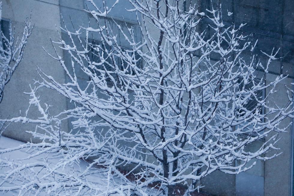 Nieve en Zaragoza por la borrasca Filomena