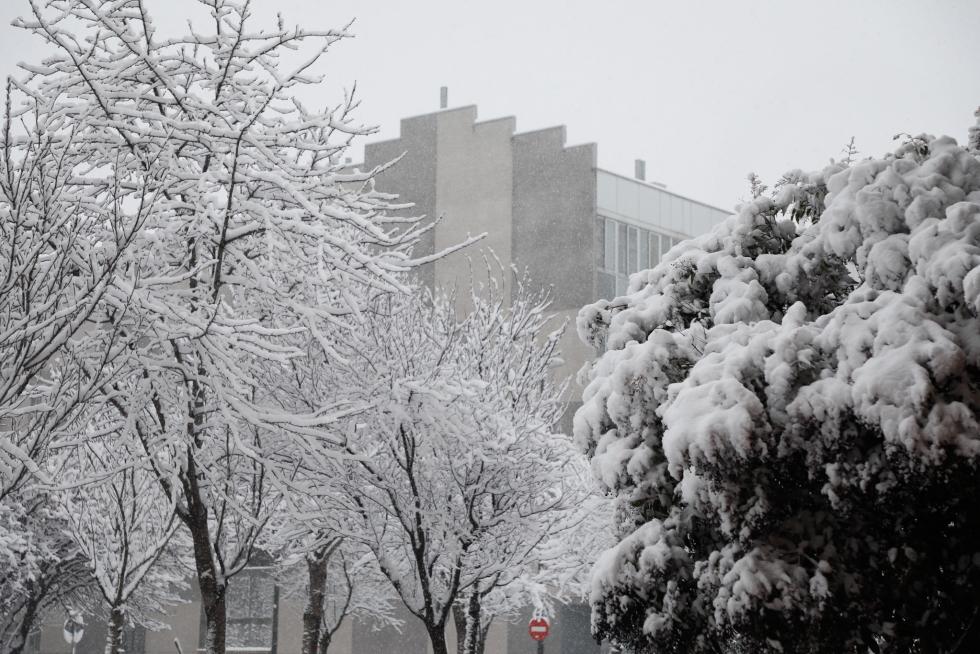 Nieve en Zaragoza por la borrasca Filomena