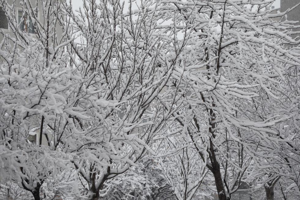 Nieve en Zaragoza por la borrasca Filomena