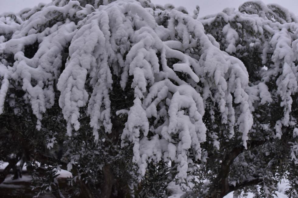 Nieve en Zaragoza por la borrasca Filomena