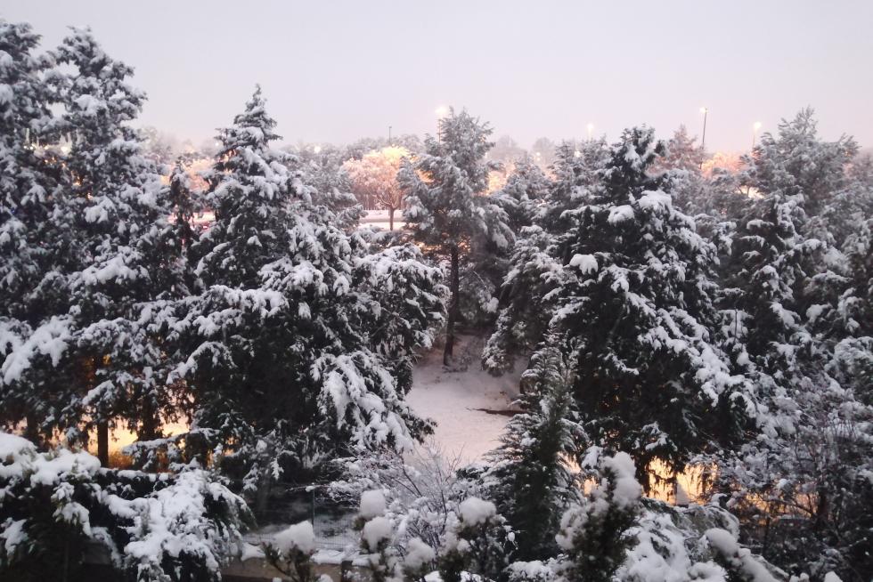 Os envío esta foto desde mi casa.. Prolongación Gómez laguna.. Espero que os guste, no hay nada retocado es ahora y acaban de dar la luz..
