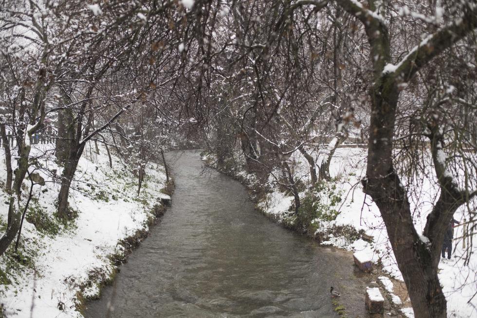 Nieve en el parque Bruil de Zaragoza