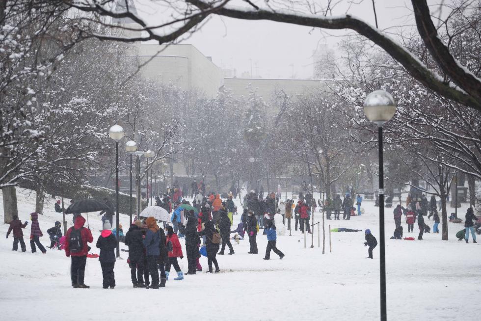 Nieve en el parque Bruil de Zaragoza
