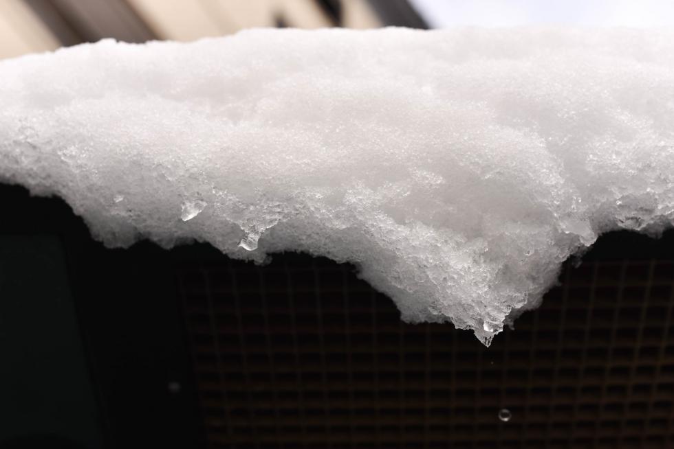 NIEVE