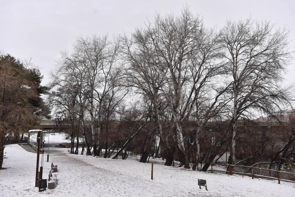 NIeve en la plaza de Europa de Zaragoza, este domingo.