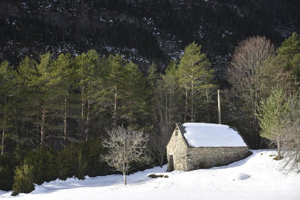 El Valle de Pineta, nevado.