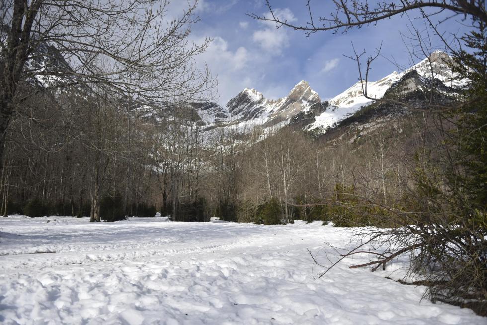 El Valle de Pineta, nevado.