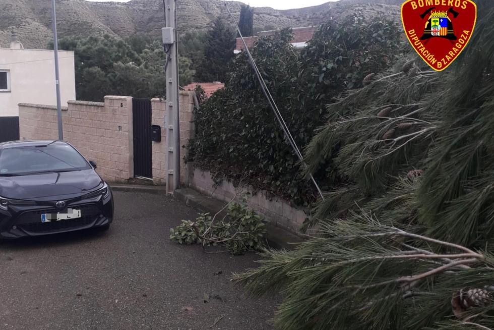 La borrasca Hortensia ha dejado ramas y árboles caídos en Zuera, La Almunia o en un camino que conecta Fréscano y Borja.
