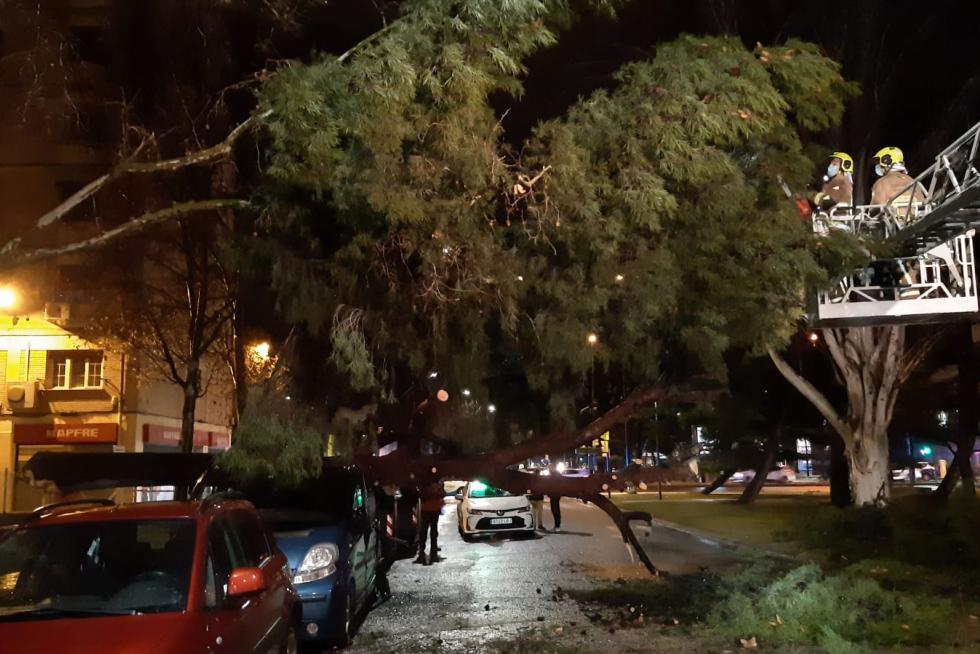 Los bomberos, cortando ramas para evitar caídas de árboles.