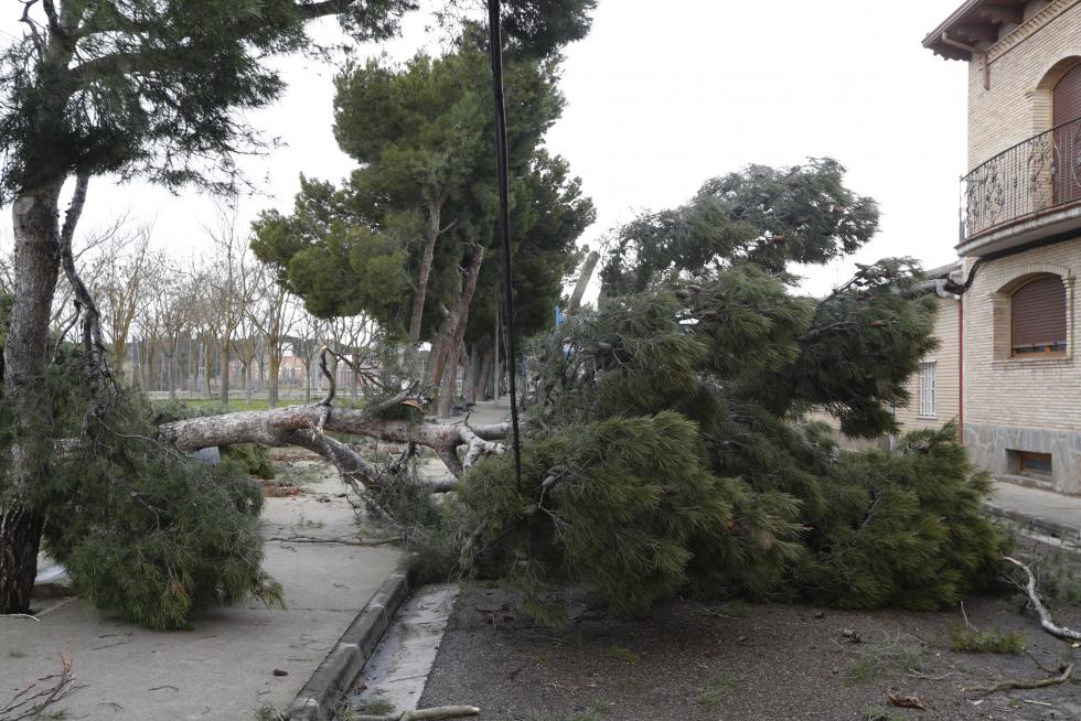 La tormenta Hortensia destroza el barrio de San Gregorio (Zaragoza)