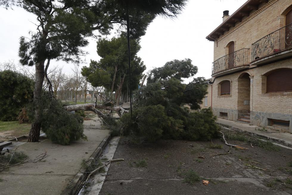 La tormenta Hortensia destroza el barrio de San Gregorio (Zaragoza)
