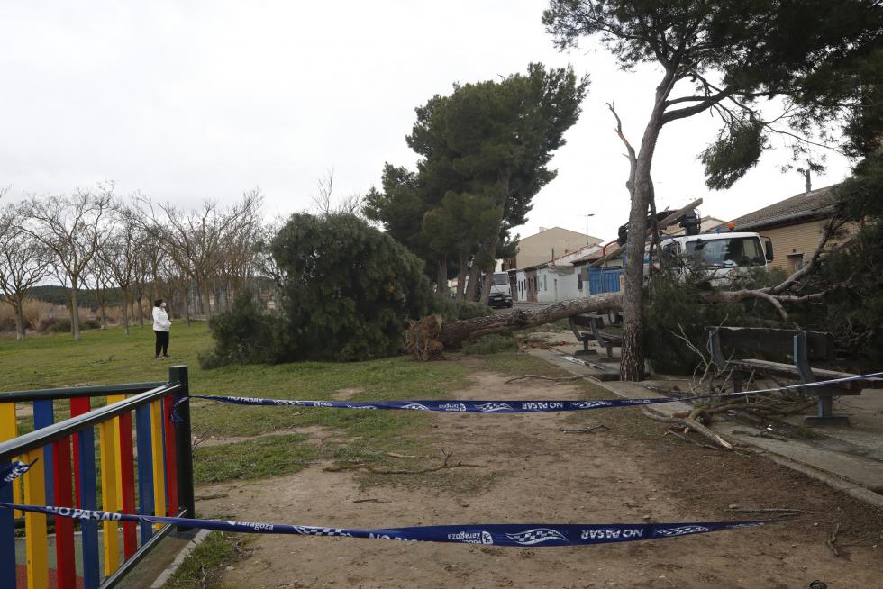 La tormenta Hortensia destroza el barrio de San Gregorio (Zaragoza)