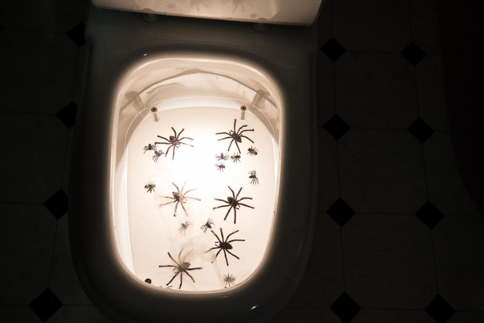 Foto de Calanda