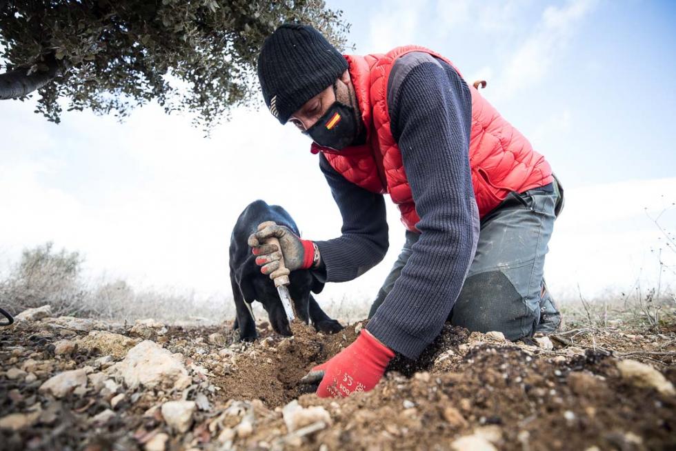 Foto de Lechón