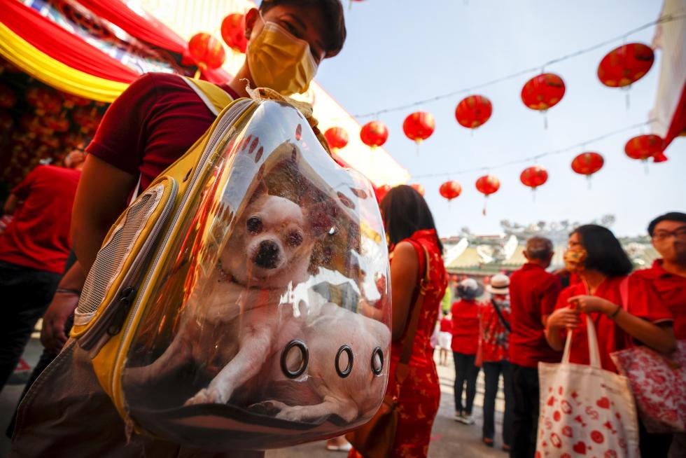 Lunar New Year celebrations in Bangkok