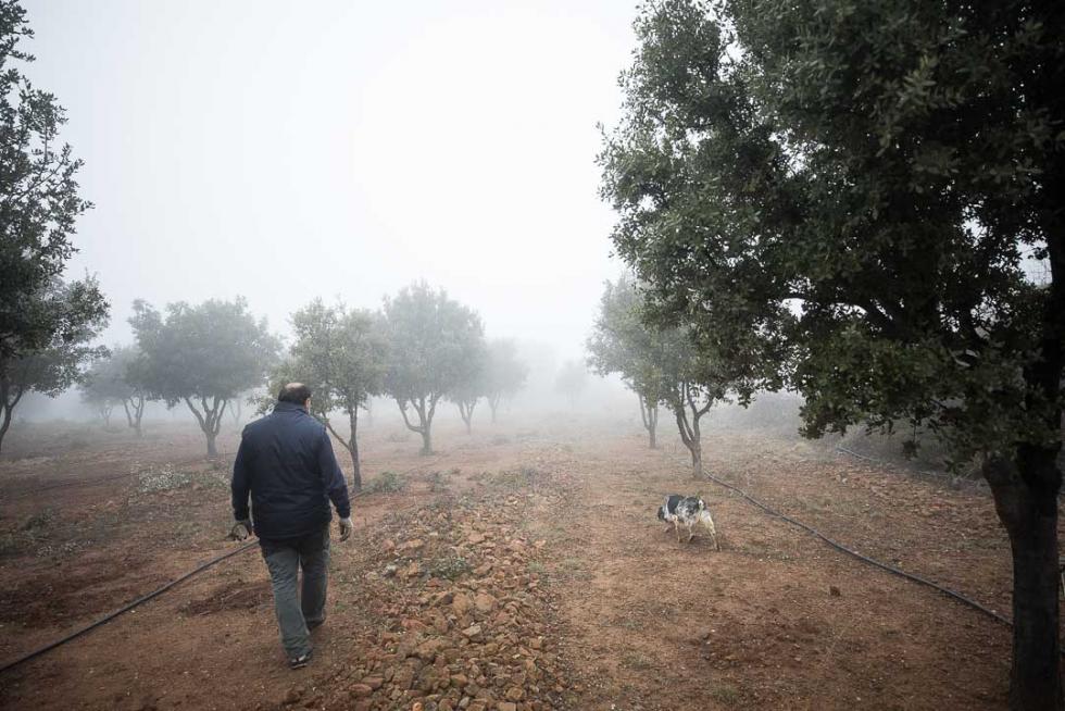 Foto de Añón de Moncayo