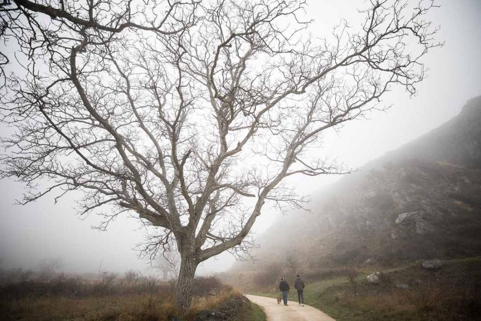 Foto de Añón de Moncayo
