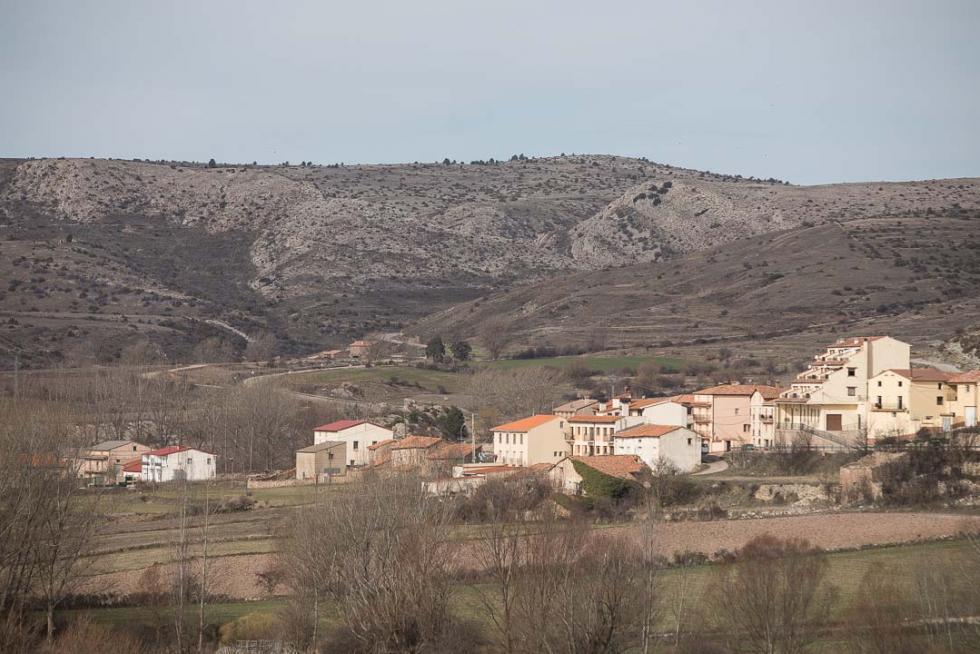 Foto de Cedrillas