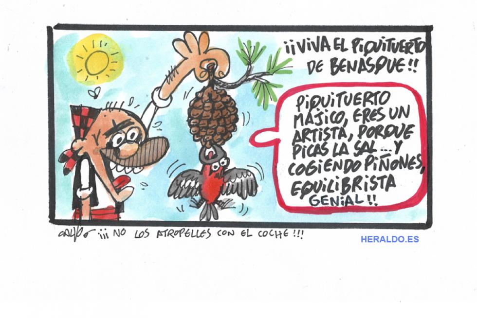 Supermaño piquituerto