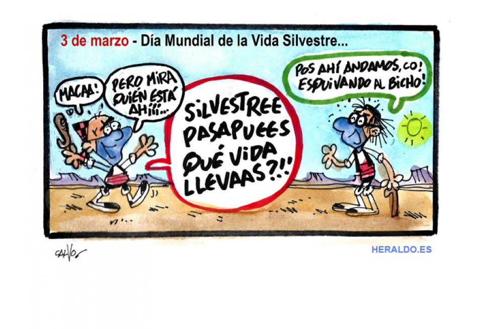 supermaño-verde-02-03-2021
