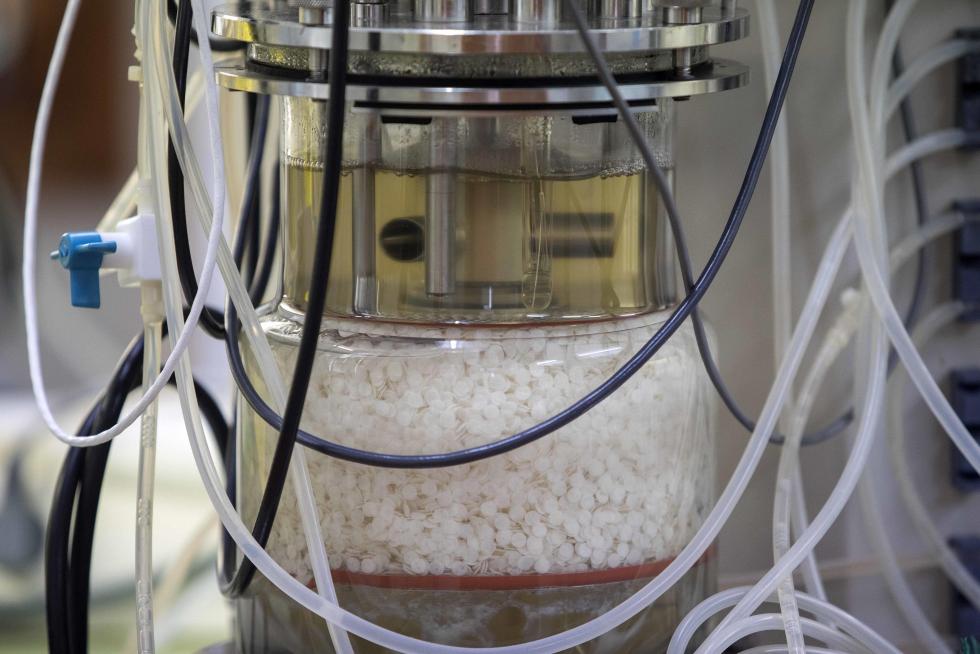 Operon, empresa de Zaragoza que fabrica test rápidos y PCR en Cuarte de Huerva.