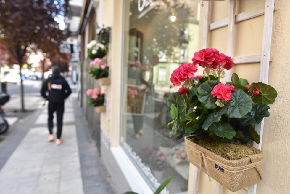 Ohana, comercio de flores y plantas artificiales en la calle Princesa de Zaragoza