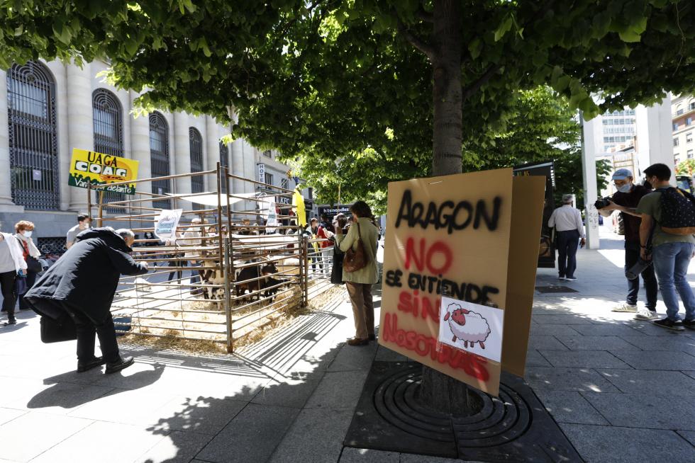 Galería de los tractores en Zaragoza