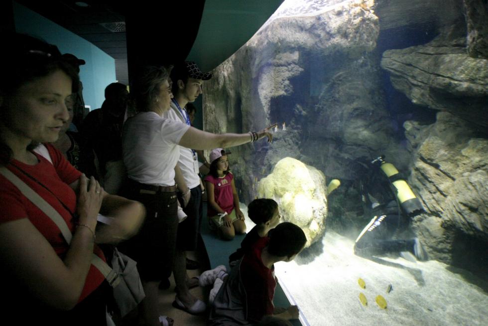 De Fluvi a visitas ‘vip’: nostalgia de la Expo en Zaragoza 13 años después