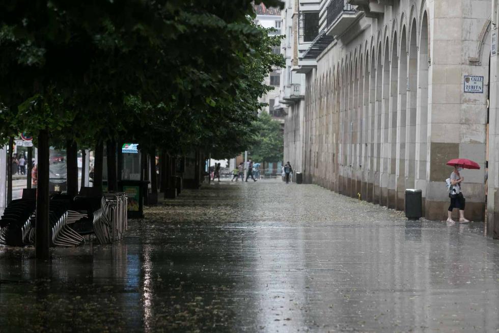 Tomenta en Zaragoza