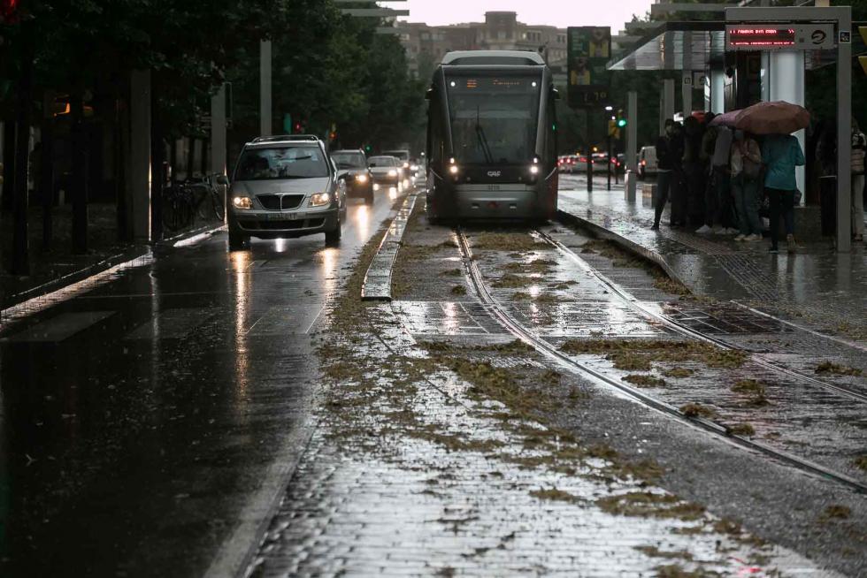 Tomenta en Zaragoza